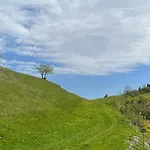 Franz Johann Aparts - 150m To Slopes Schladming