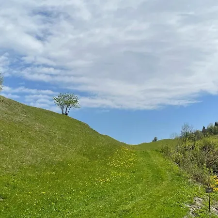 Franz Johann Aparts - 150m To Slopes Schladming