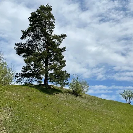 Franz Johann Apartments - 150M To Slopes - Penthouse Mit Eigener Sauna Apartment Schladming