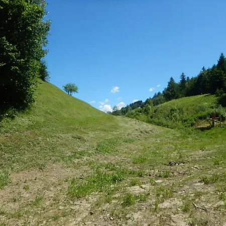 Apartment Franz Johann - Near Slopes - Reiteralm *