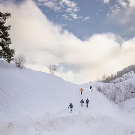 Lejlighed Franz Johann Apartments - 150M To Slopes - Penthouse Mit Eigener Sauna Schladming