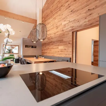 Apartment Franz Johann Aparts - 150m To Slopes Schladming