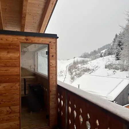 Franz Johann Aparts - 150m To Slopes Apartment *