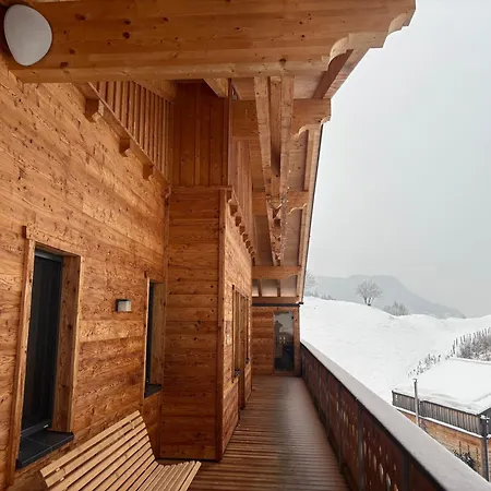 Franz Johann Aparts - 150m To Slopes Апартаменты *