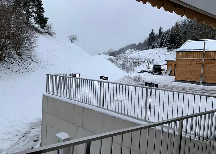 Franz Johann Aparts - 150m To Slopes Schladming