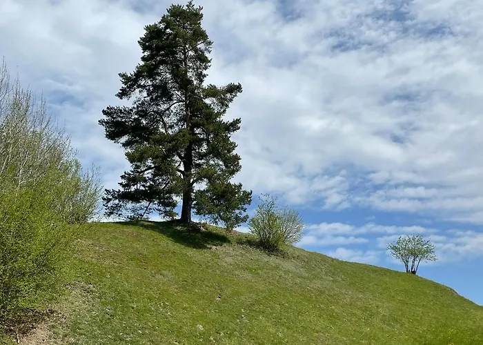 Franz Johann Aparts - 150m To Slopes Apartment Schladming