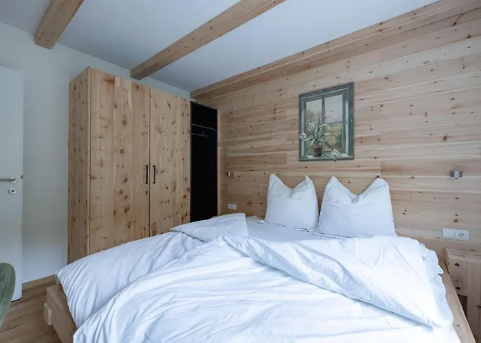 Franz Johann Aparts - 150m To Slopes Apartment Schladming