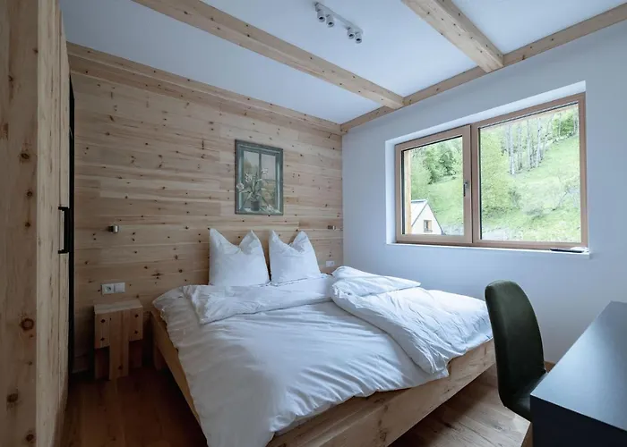 Franz Johann Aparts - 150m To Slopes * Schladming