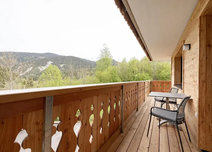 Franz Johann Aparts - 150m To Slopes Apartment Schladming