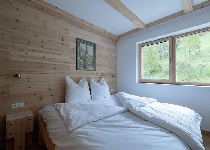 Franz Johann Aparts - 150m To Slopes Apartment Schladming