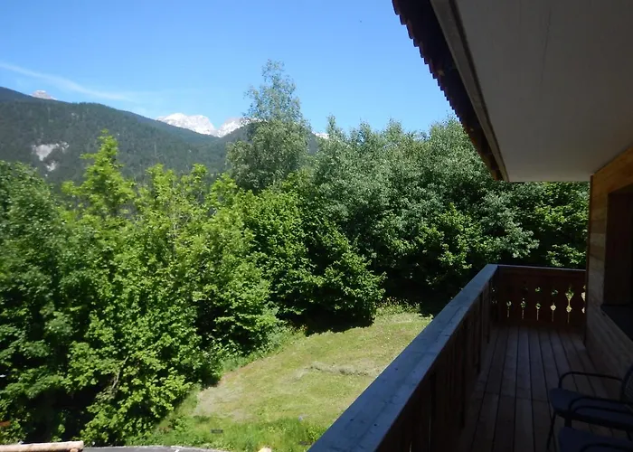 Franz Johann Aparts - 150m To Slopes Schladming