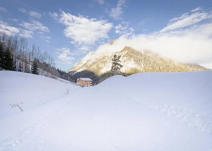 Apartment Franz Johann Aparts - 150m To Slopes *