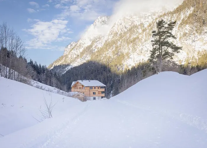 Franz Johann Aparts - 150m To Slopes Schladming