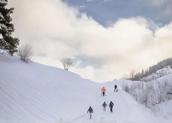 Apartment Franz Johann Aparts - 150m To Slopes Schladming